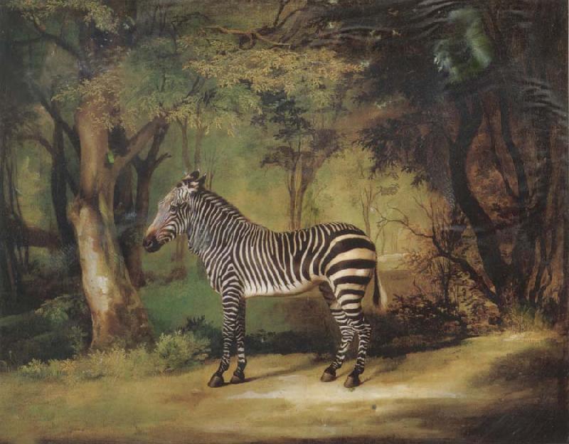 George Stubbs Horse